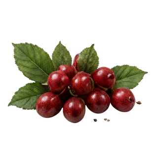 Hawthorn berry