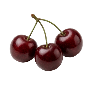 Tart cherry extract