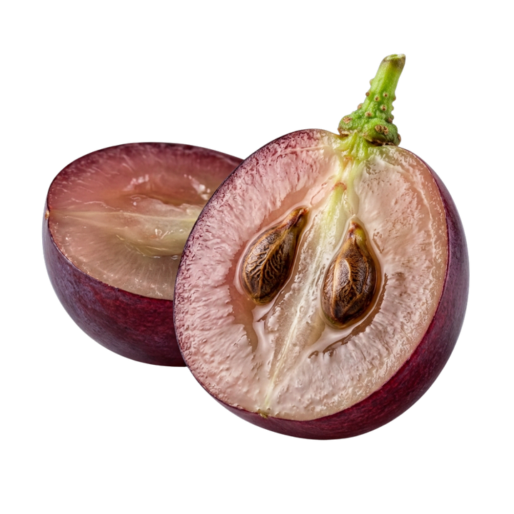 GRAPESEED