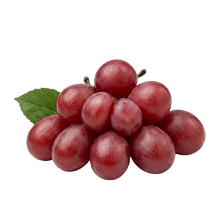 Grape seed extract